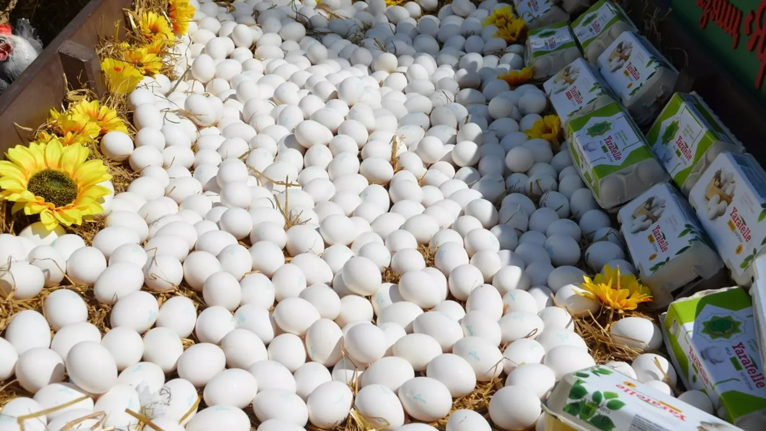 Валовое производство яиц к концу года составит не менее 1 миллиарда штук.